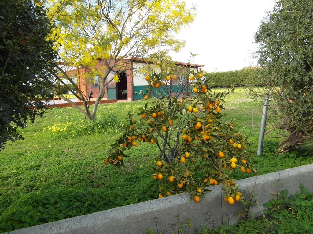 Agriturismo Il Gelsomino Ritrovato มิลาซโซ ภายนอก รูปภาพ