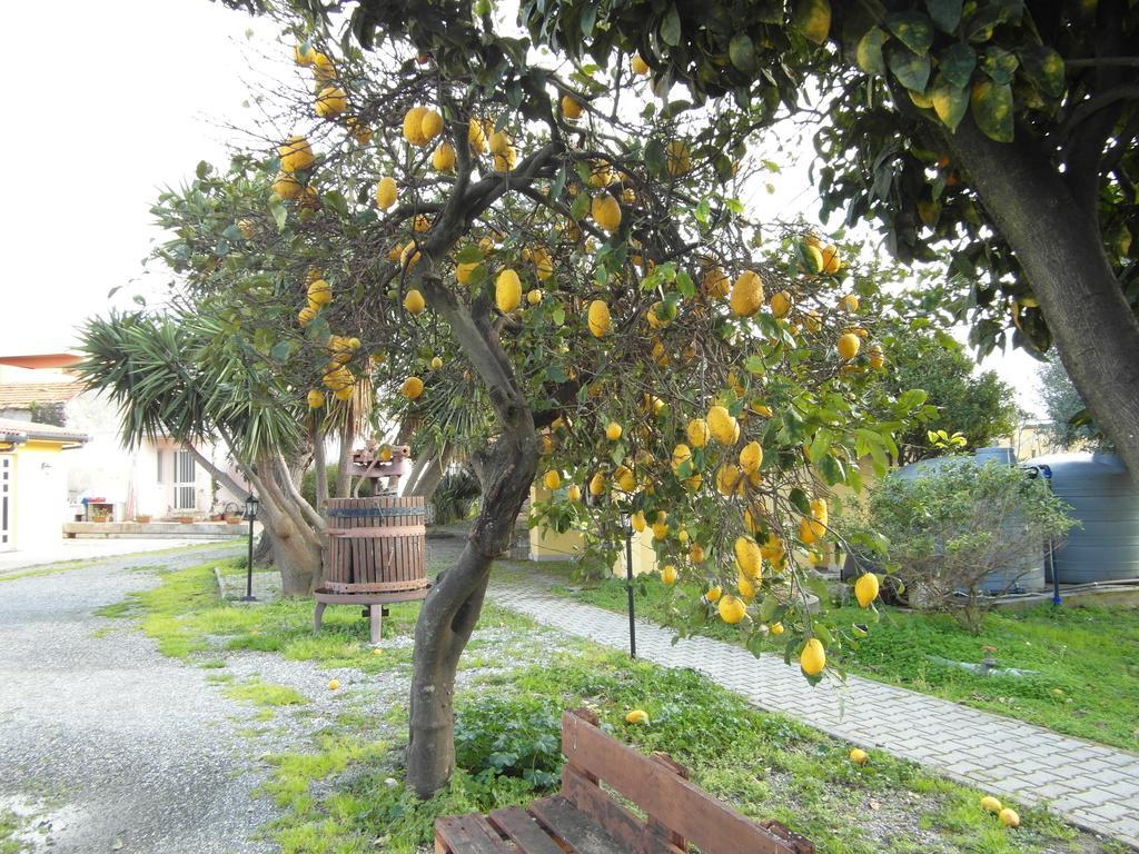 Agriturismo Il Gelsomino Ritrovato มิลาซโซ ภายนอก รูปภาพ