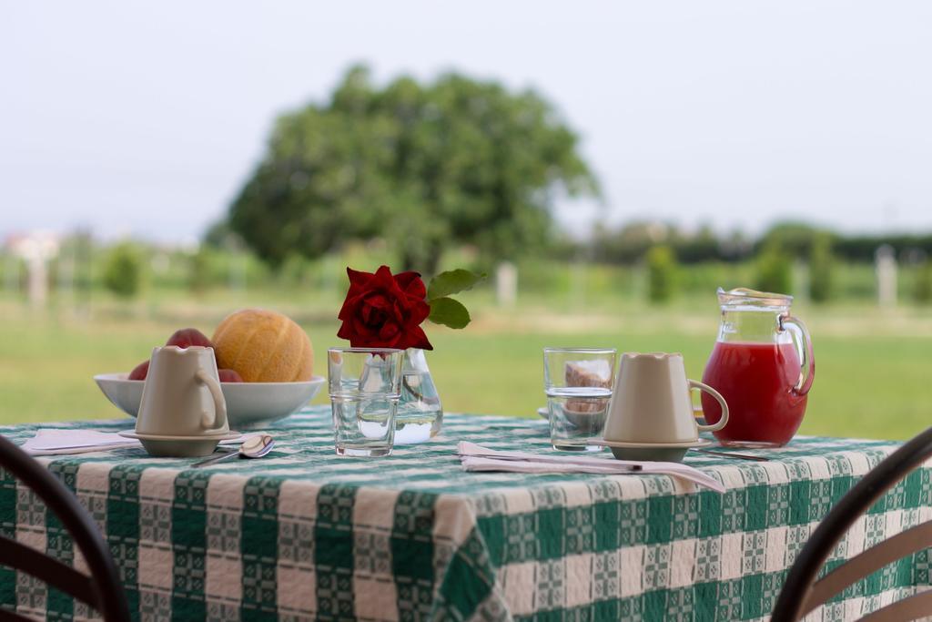 Agriturismo Il Gelsomino Ritrovato มิลาซโซ ภายนอก รูปภาพ