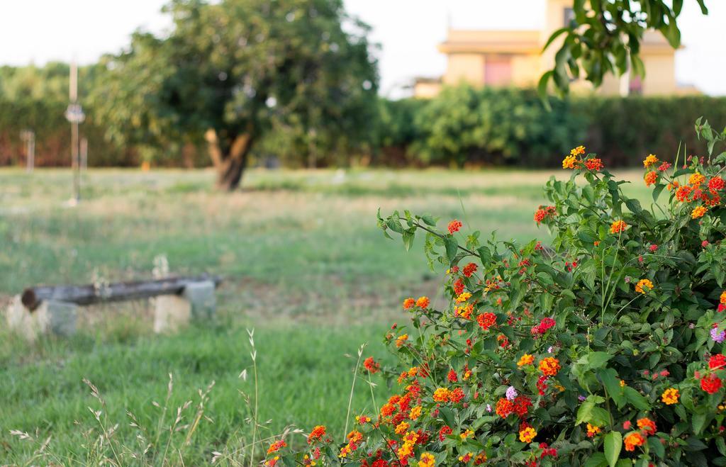Agriturismo Il Gelsomino Ritrovato มิลาซโซ ภายนอก รูปภาพ