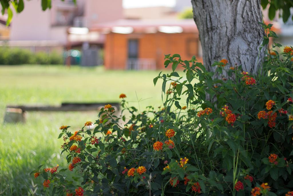 Agriturismo Il Gelsomino Ritrovato มิลาซโซ ภายนอก รูปภาพ